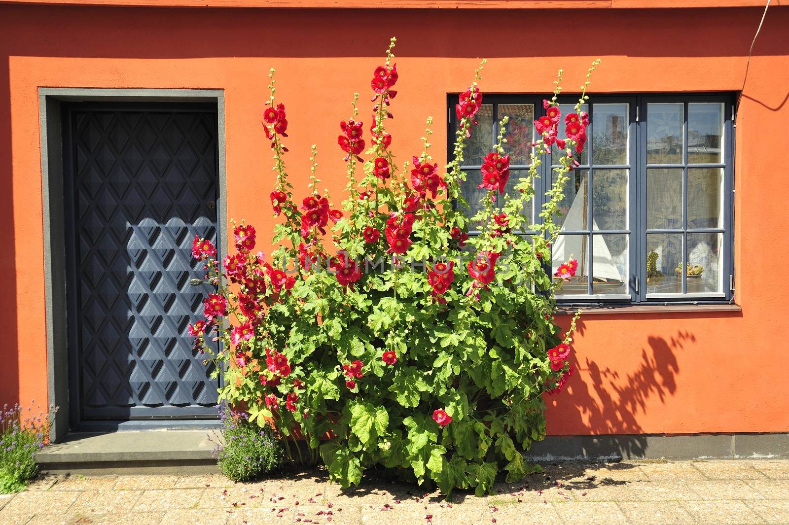 Swedish housing in Lund area.