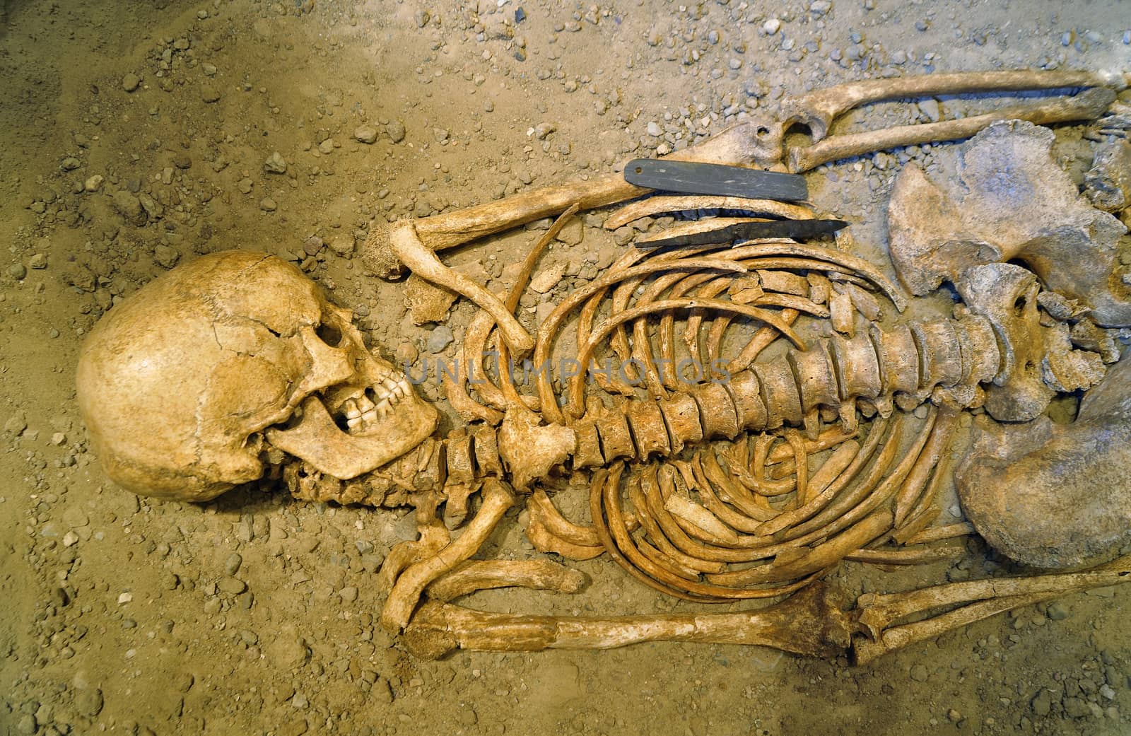 Human bones of someone curled in a grave