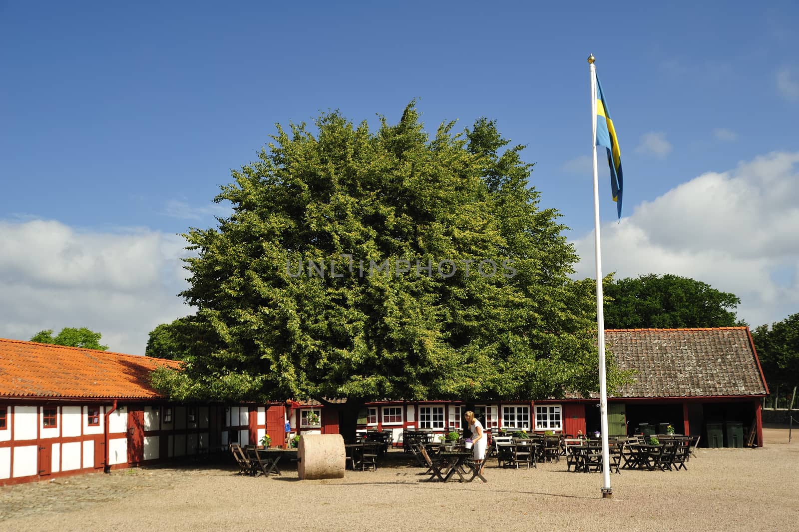 Outdoor café