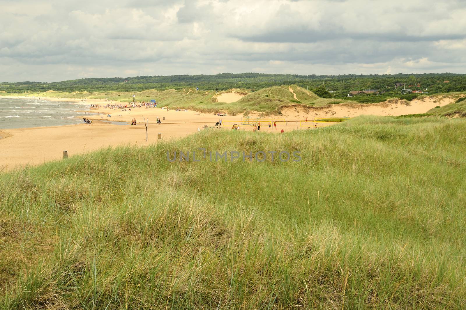 Sand dunes, Halmstad, Sweden.