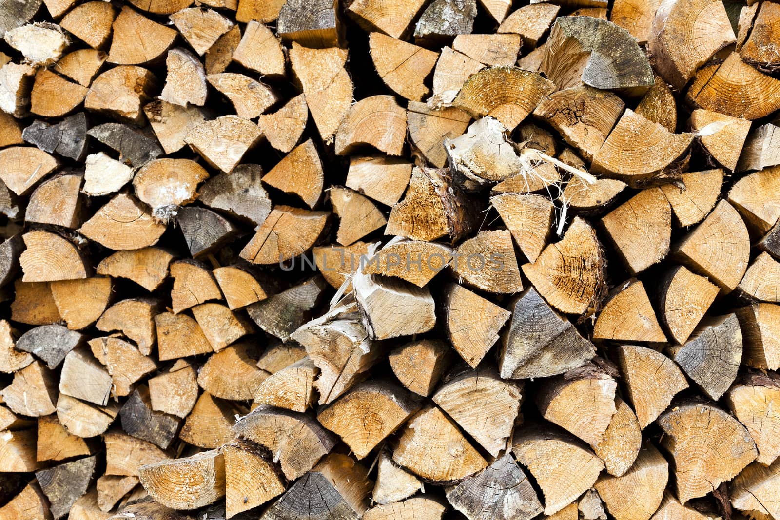   the split firewood photographed by a close up