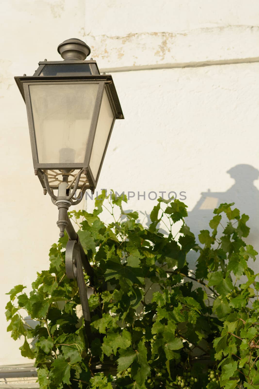 streetlight by cedicocinovo