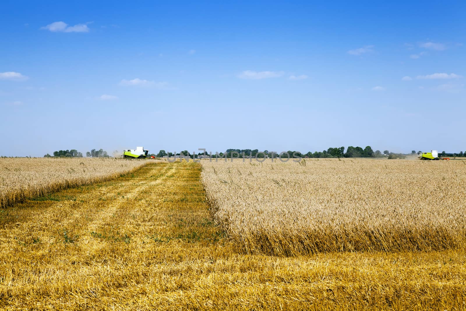  an agricultural field on which carry out wheat cleaning