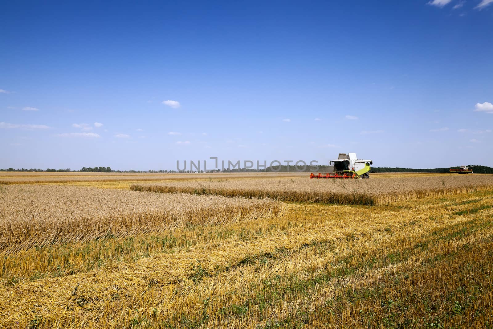  an agricultural field on which carry out wheat cleaning