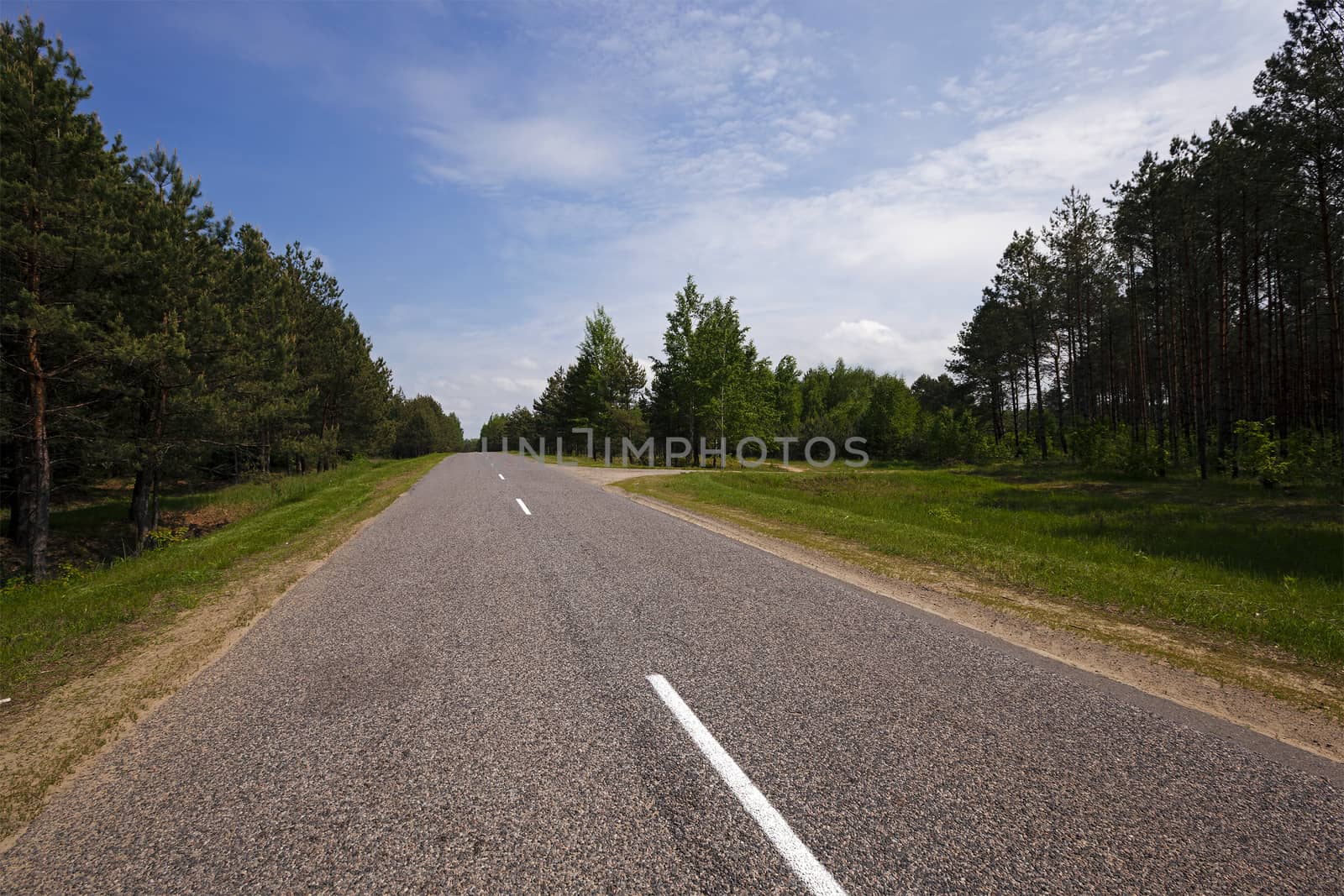   the small rural asphalted road photographed in summertime of year. Belarus