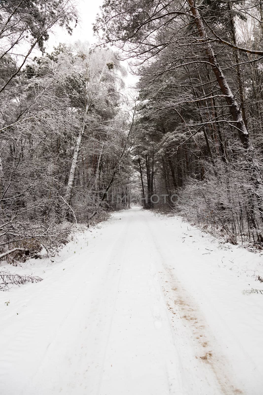   the small road photographed in a winter season