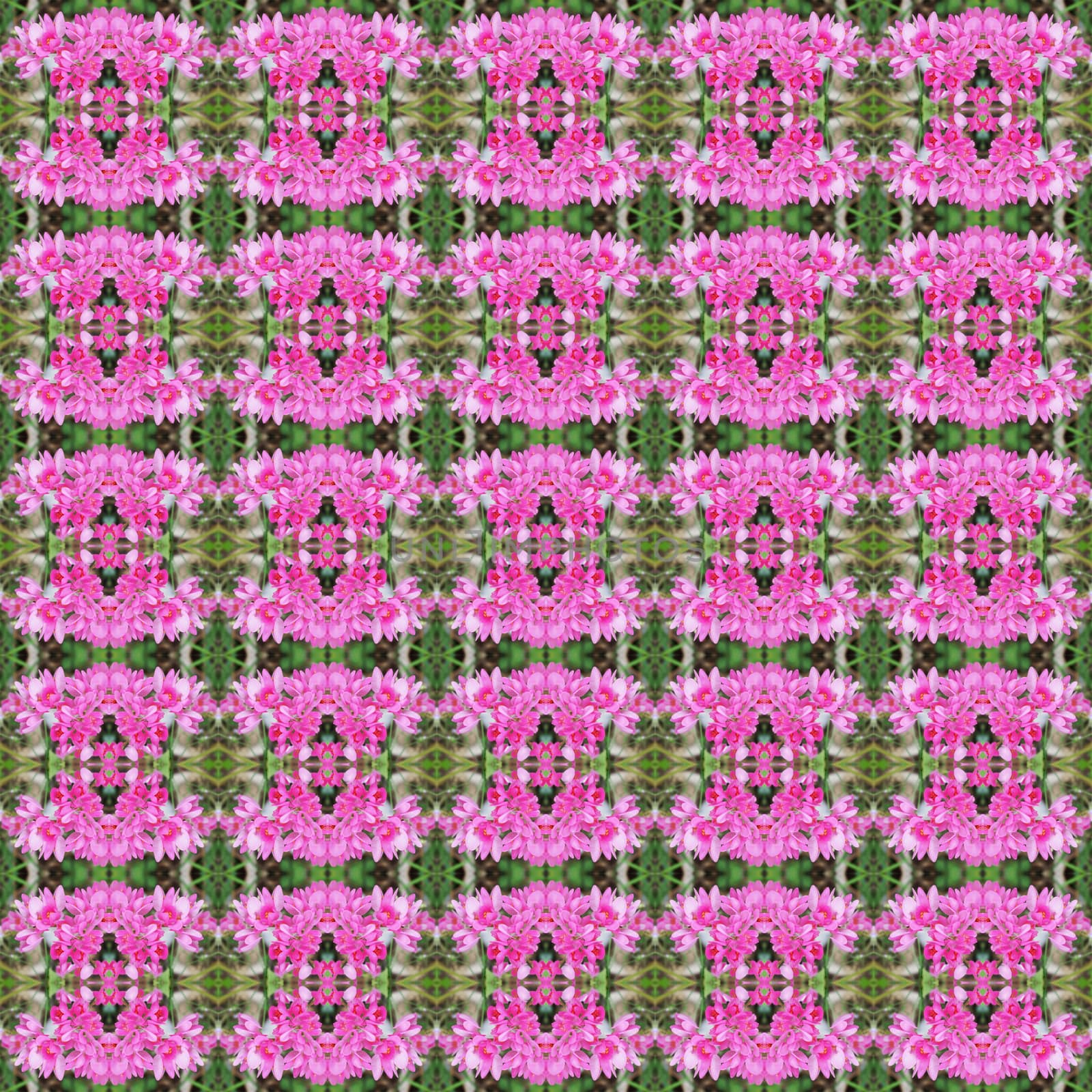 Antigonon leptopus or Mexican creeper seamless use as pattern and wallpaper.