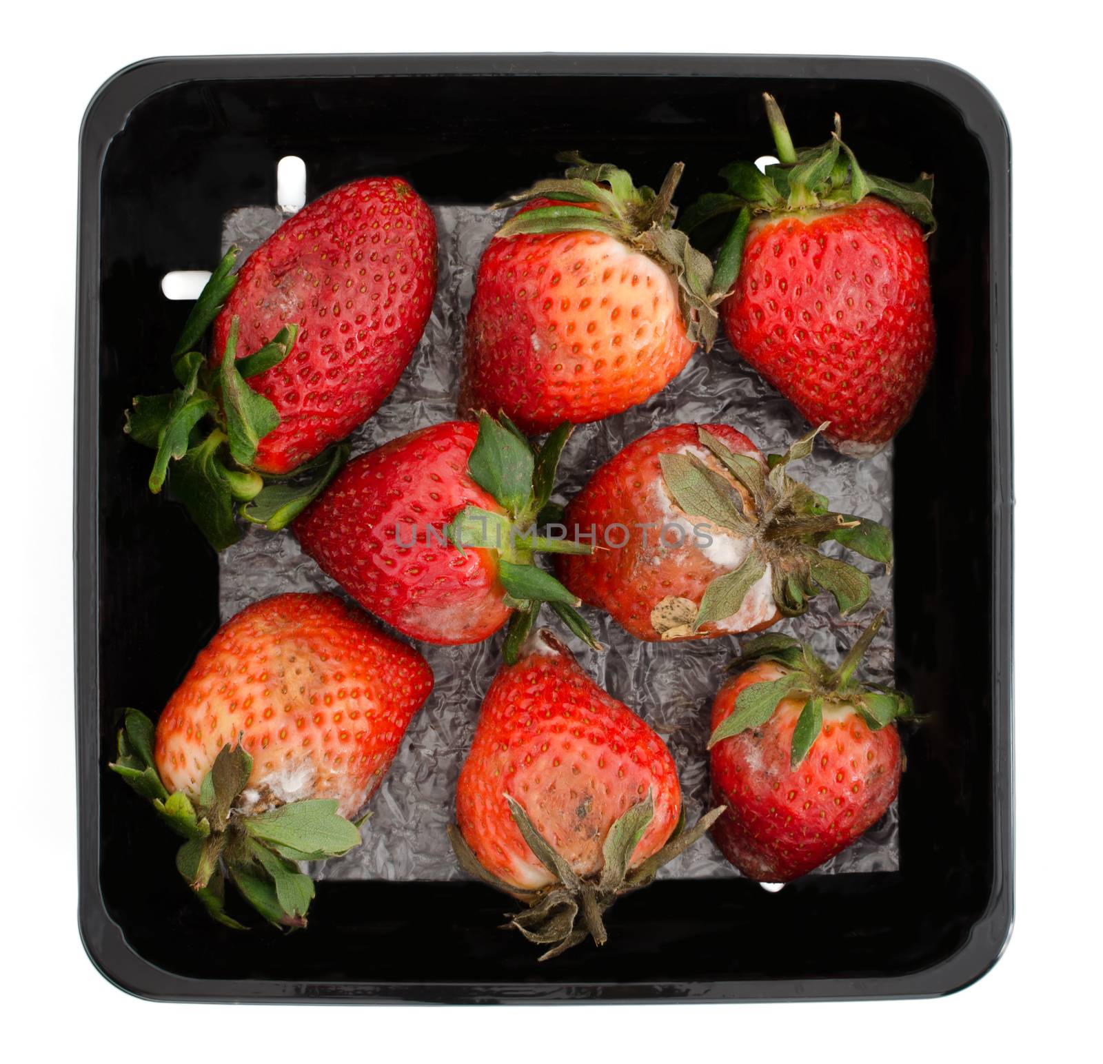 Moldy strawberries by richpav