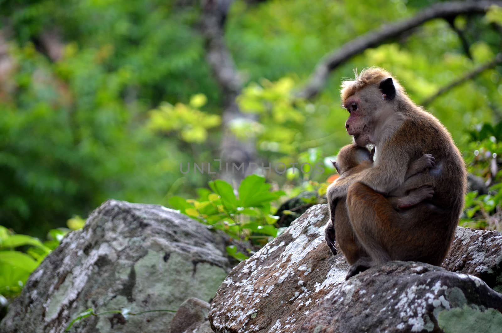 mom with baby