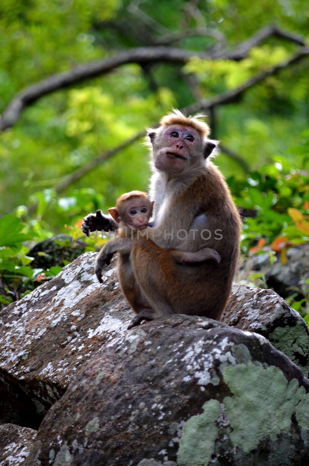 mom with baby