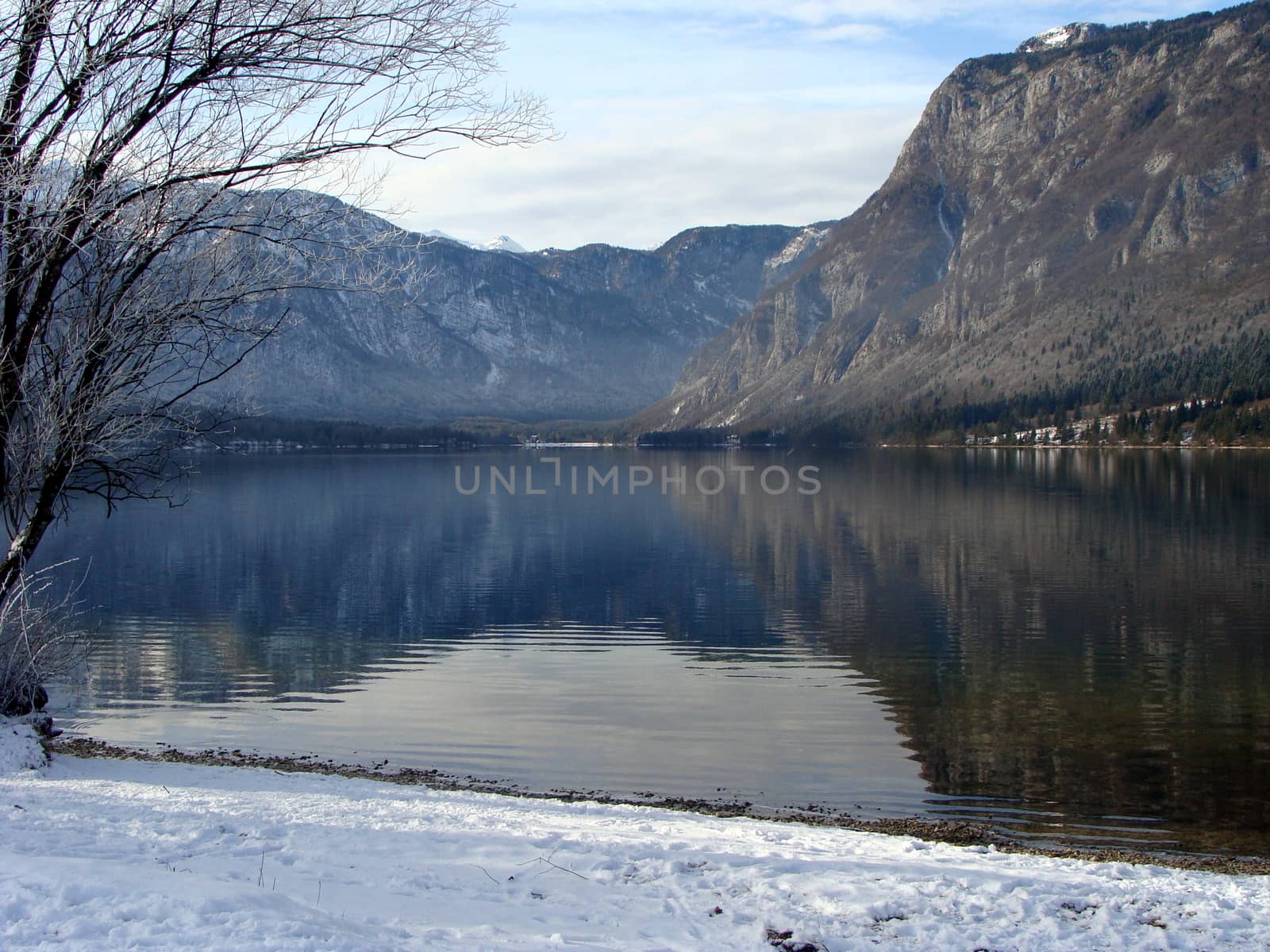 lake by inguaribile
