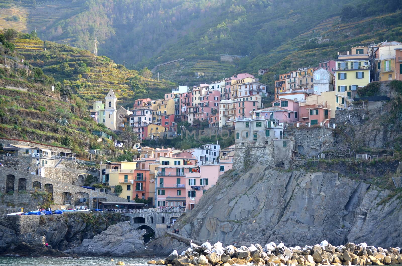 Manarola by inguaribile