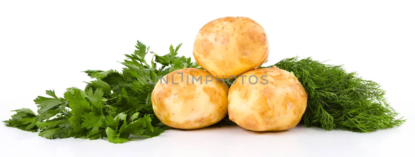 Fresh potatoes and green dill and parsley isolated on white background