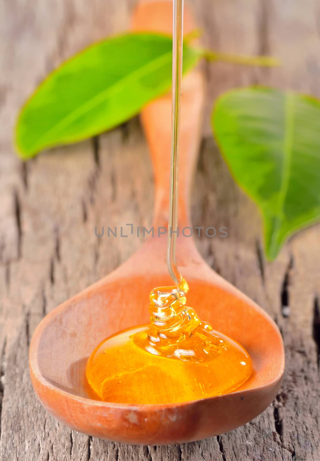 Honey falling on a spoon isolated on old wood