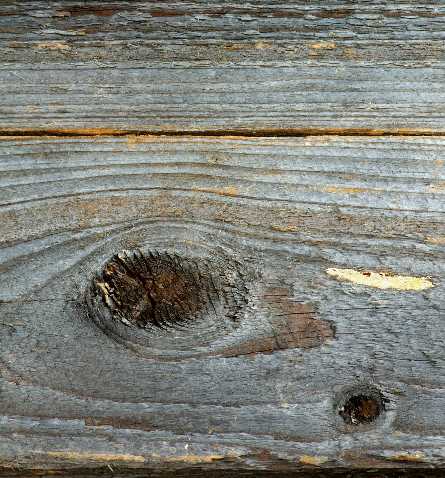 Background of Grey Cracked Rustic Wood with Timber closeup