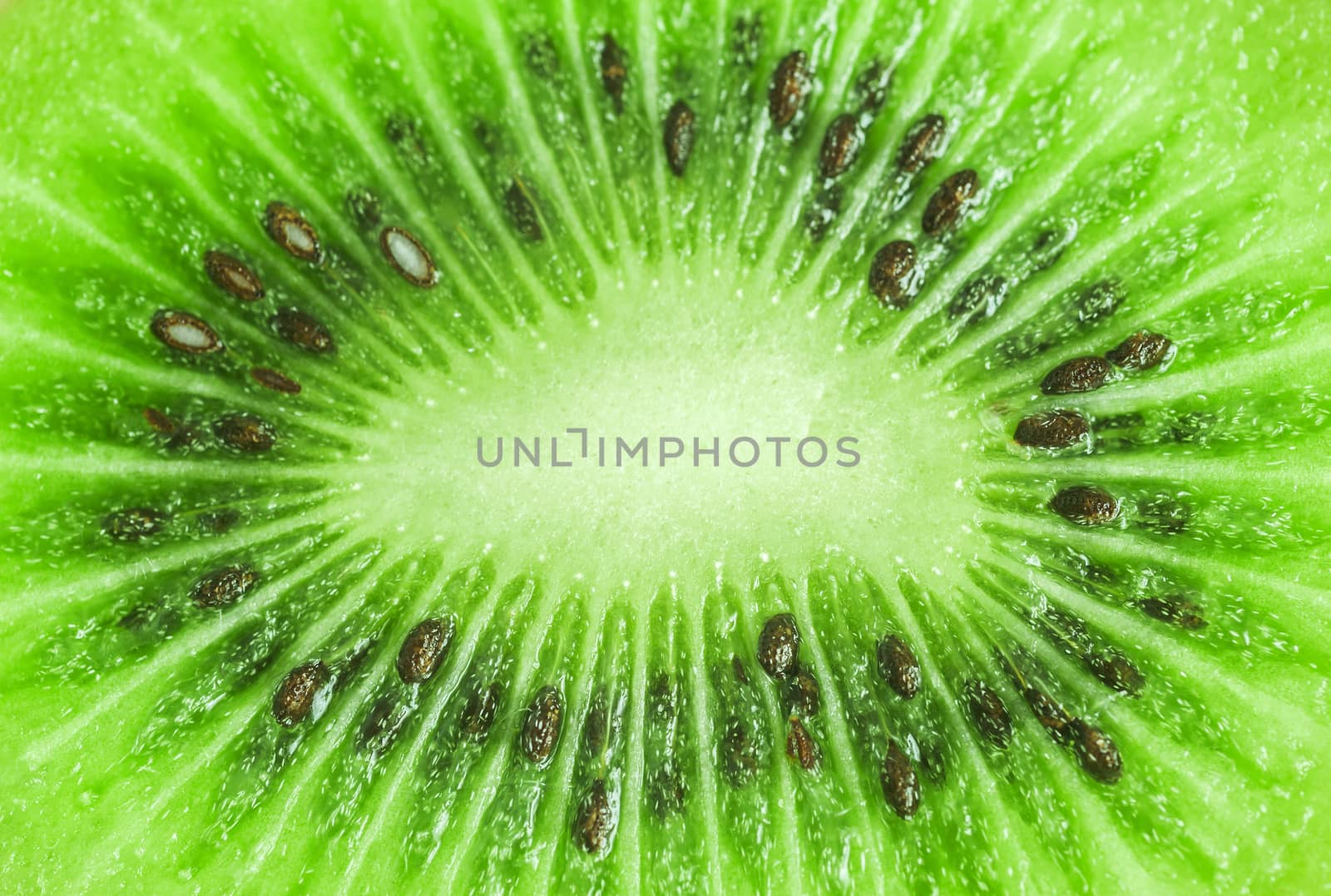 Green kiwi fruit by jimbophoto