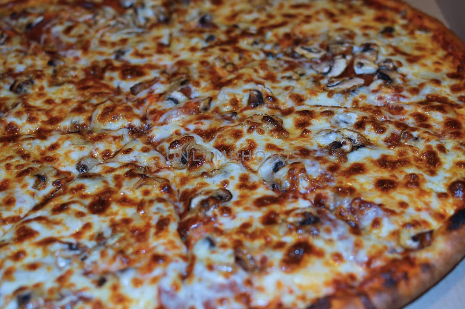 Pizza pepperoni and mushroom fat cheese
