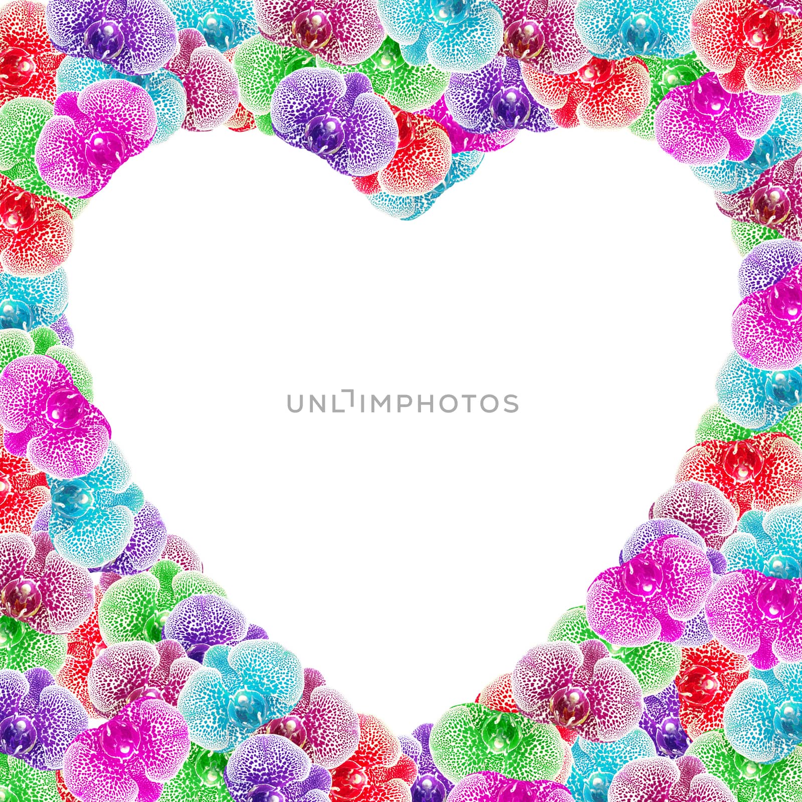 heart shape of colorful orchid flower on white background