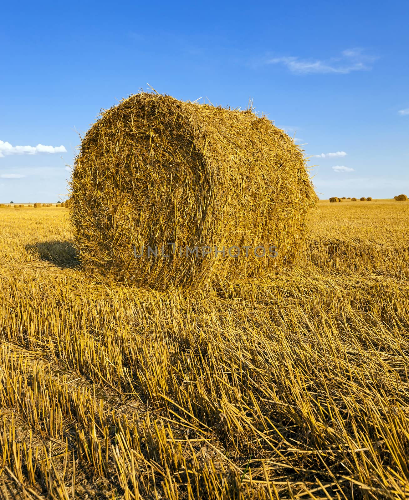  the stack of straw which is on an agricultural field