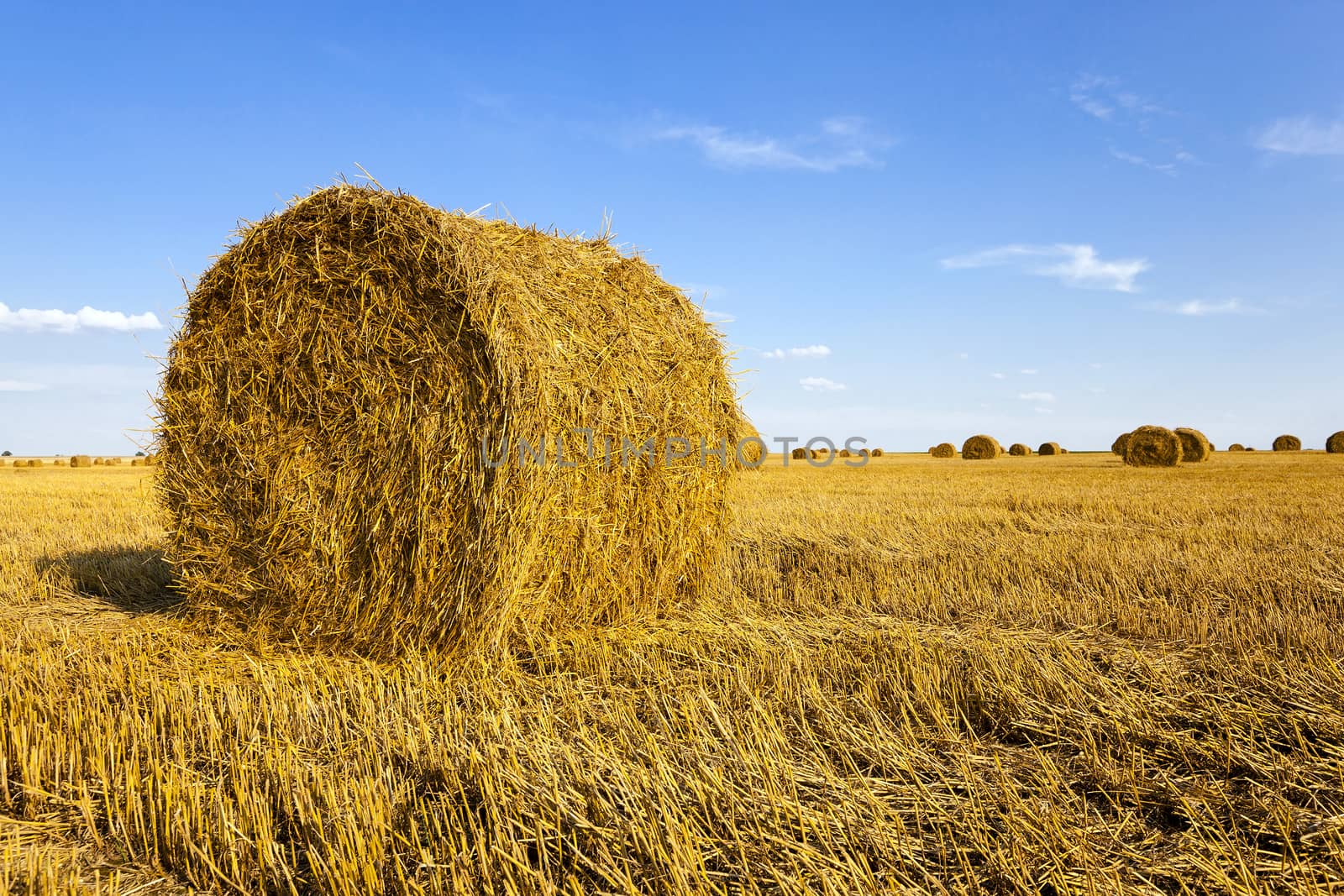   the stack of straw which is on an agricultural field