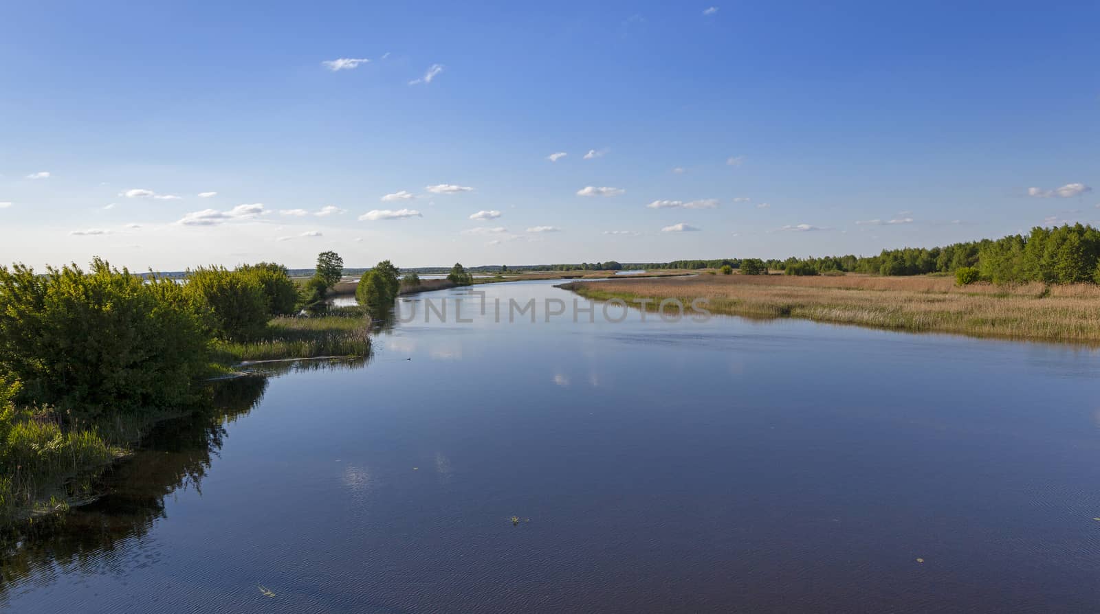   the small lake in summer time of year.