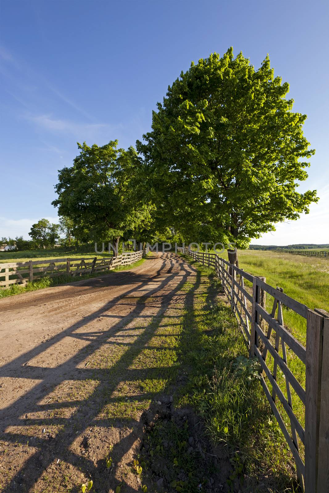  not asphalted road conducting on a farm. rural areas. Belarus