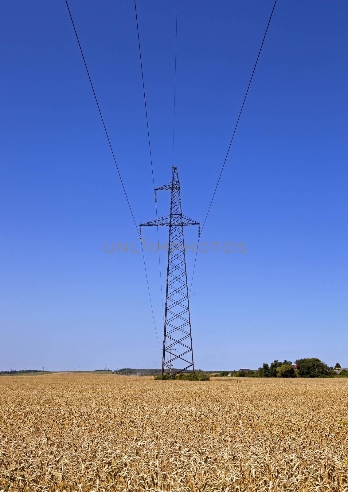   the high-voltage lines of electric transfers being in an agricultural field