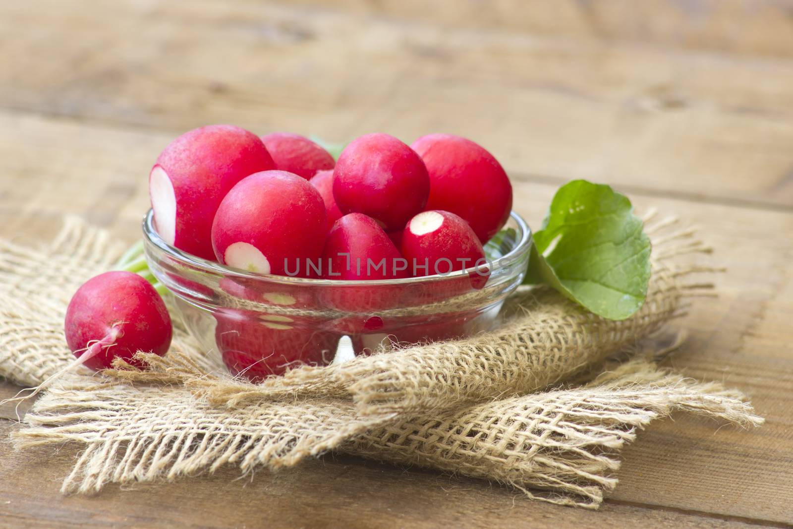 Fresh radishes in a bowl  by miradrozdowski