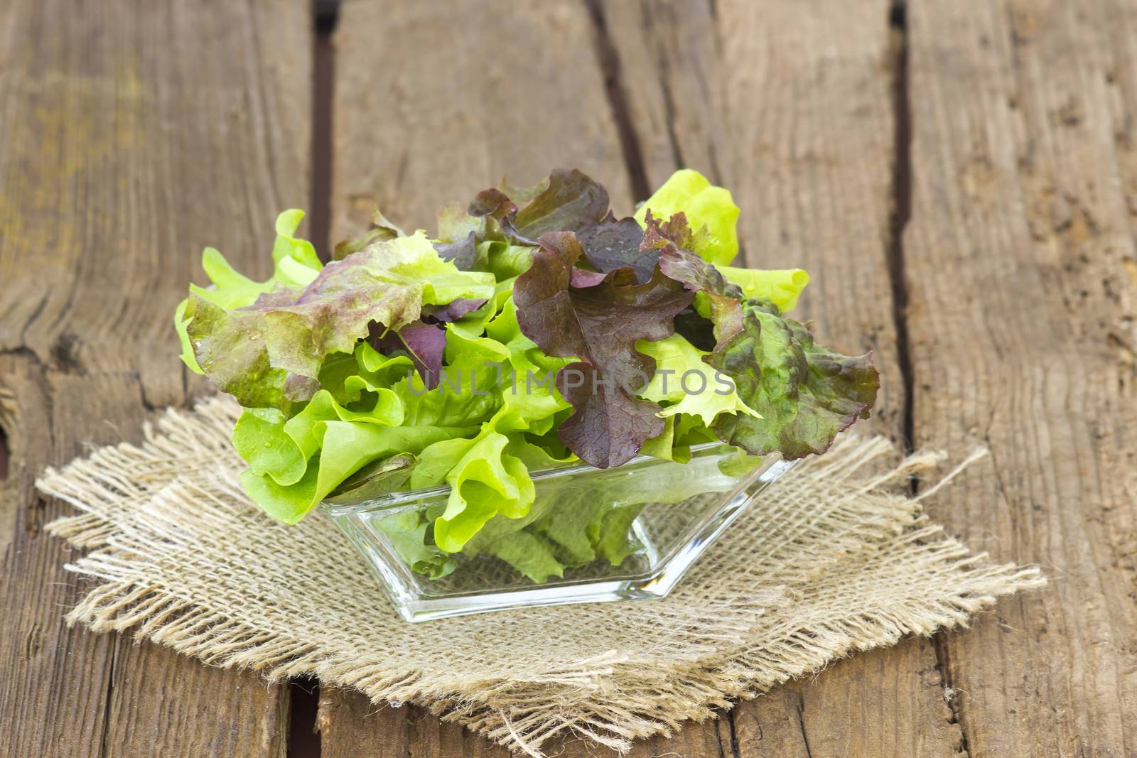 Mixed salad green leaves in a bowl on wooden background