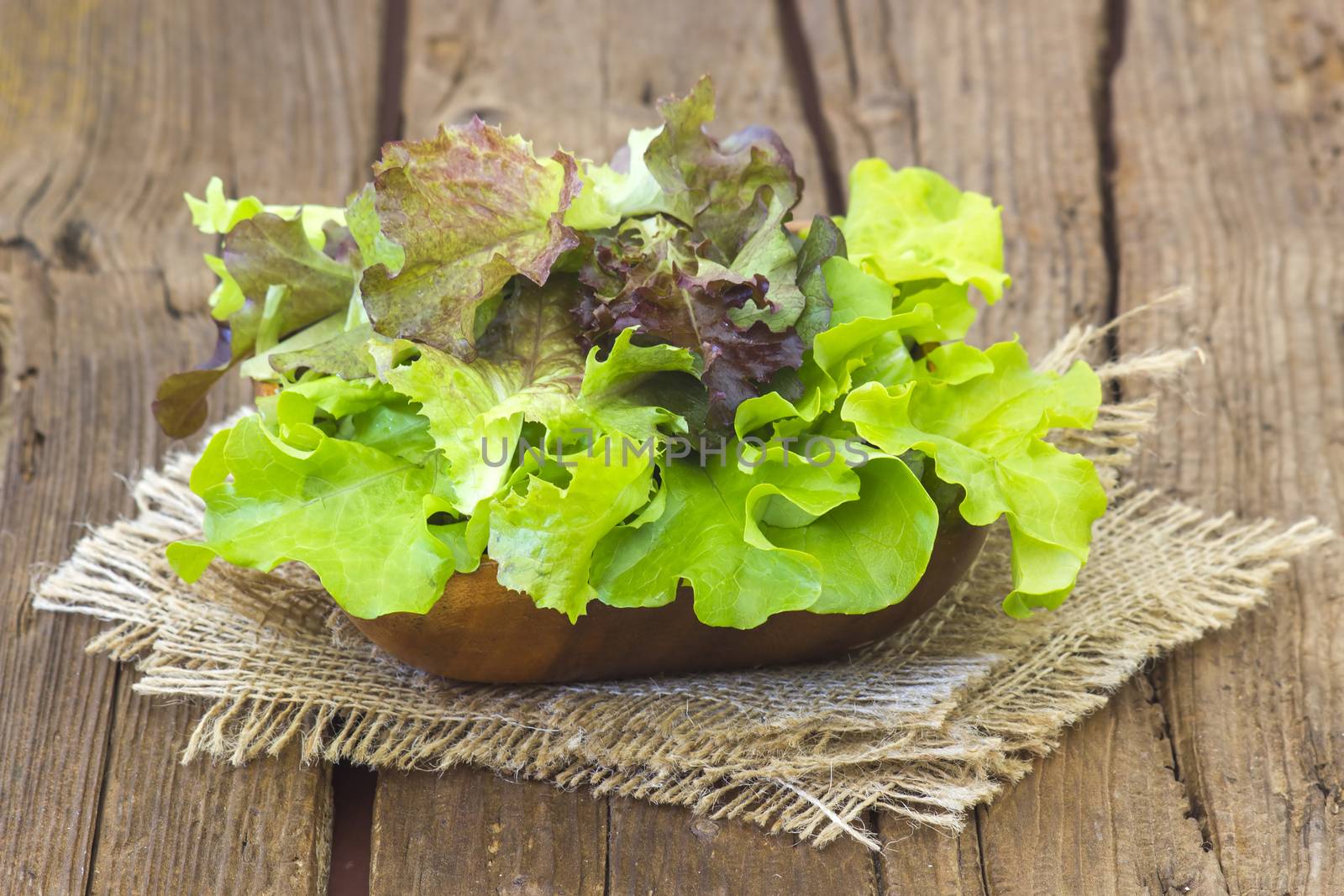 Mixed salad green leaves in a bowl on wooden background