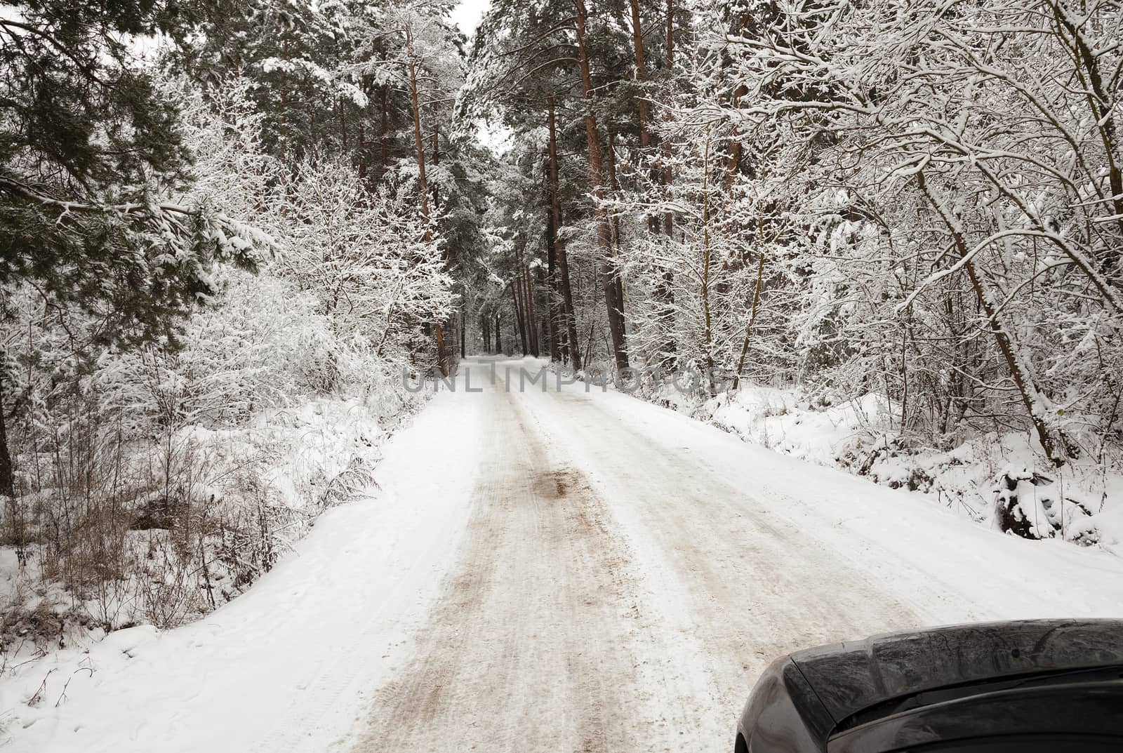  the small road photographed in a winter season