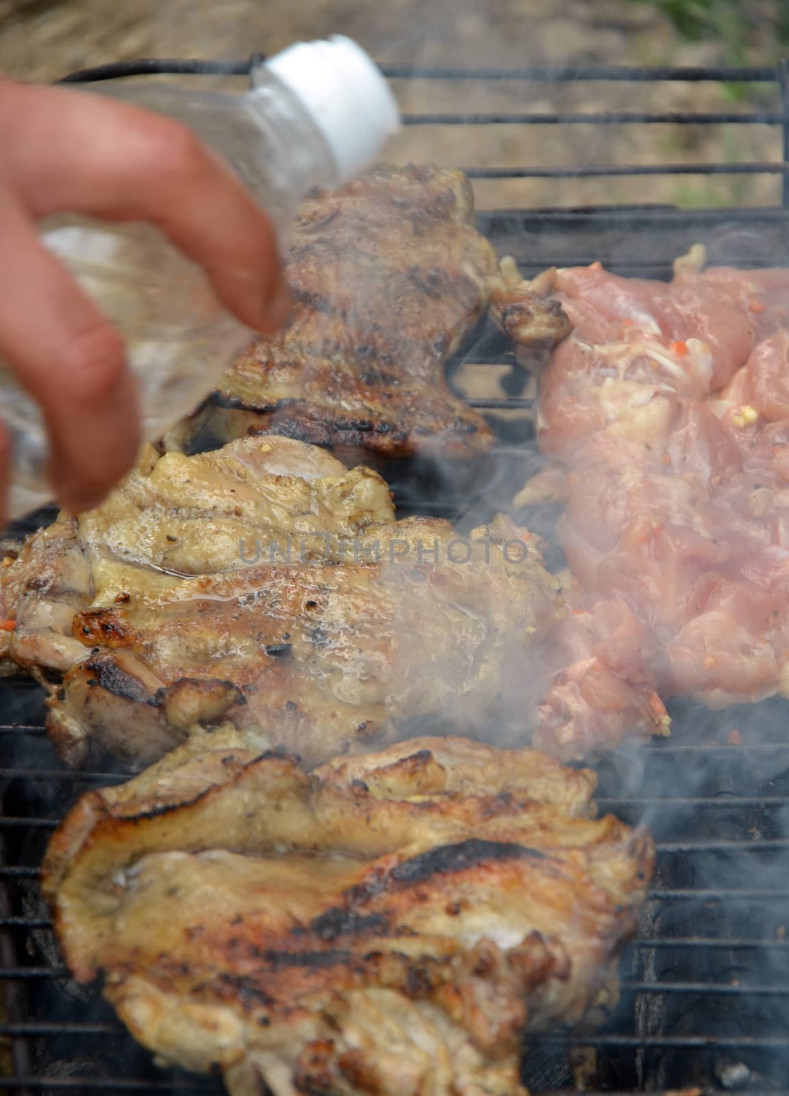 Picture of a Chicken on a grill. Food concept