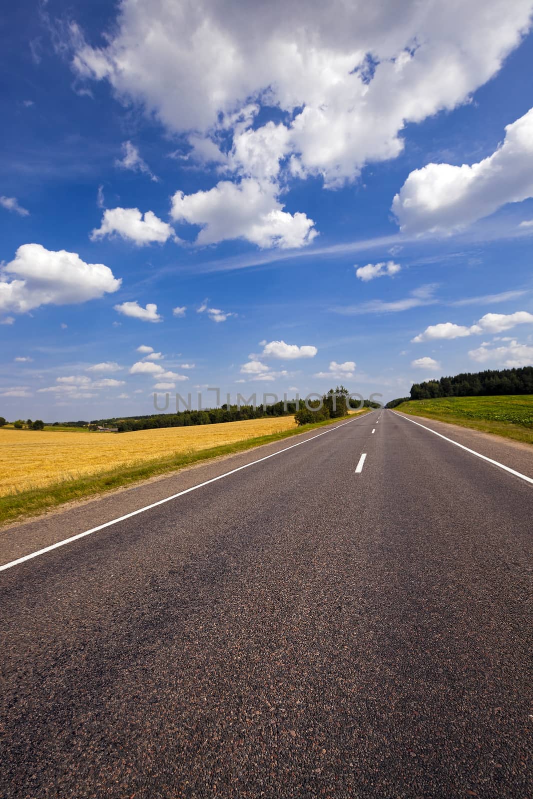   the small rural asphalted road photographed in summertime of year. Belarus