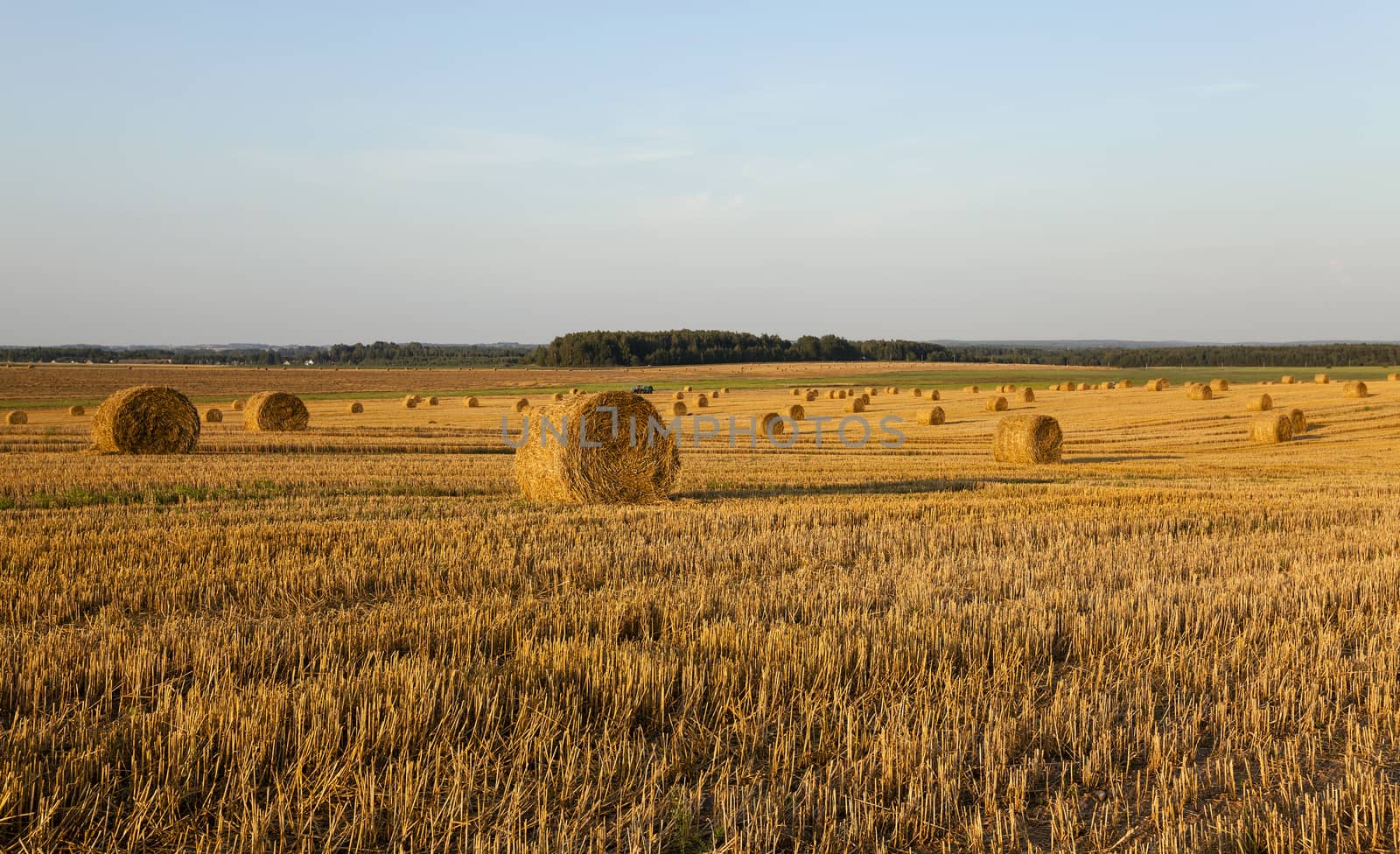  the photographed straw stack during the harvest company of cereals