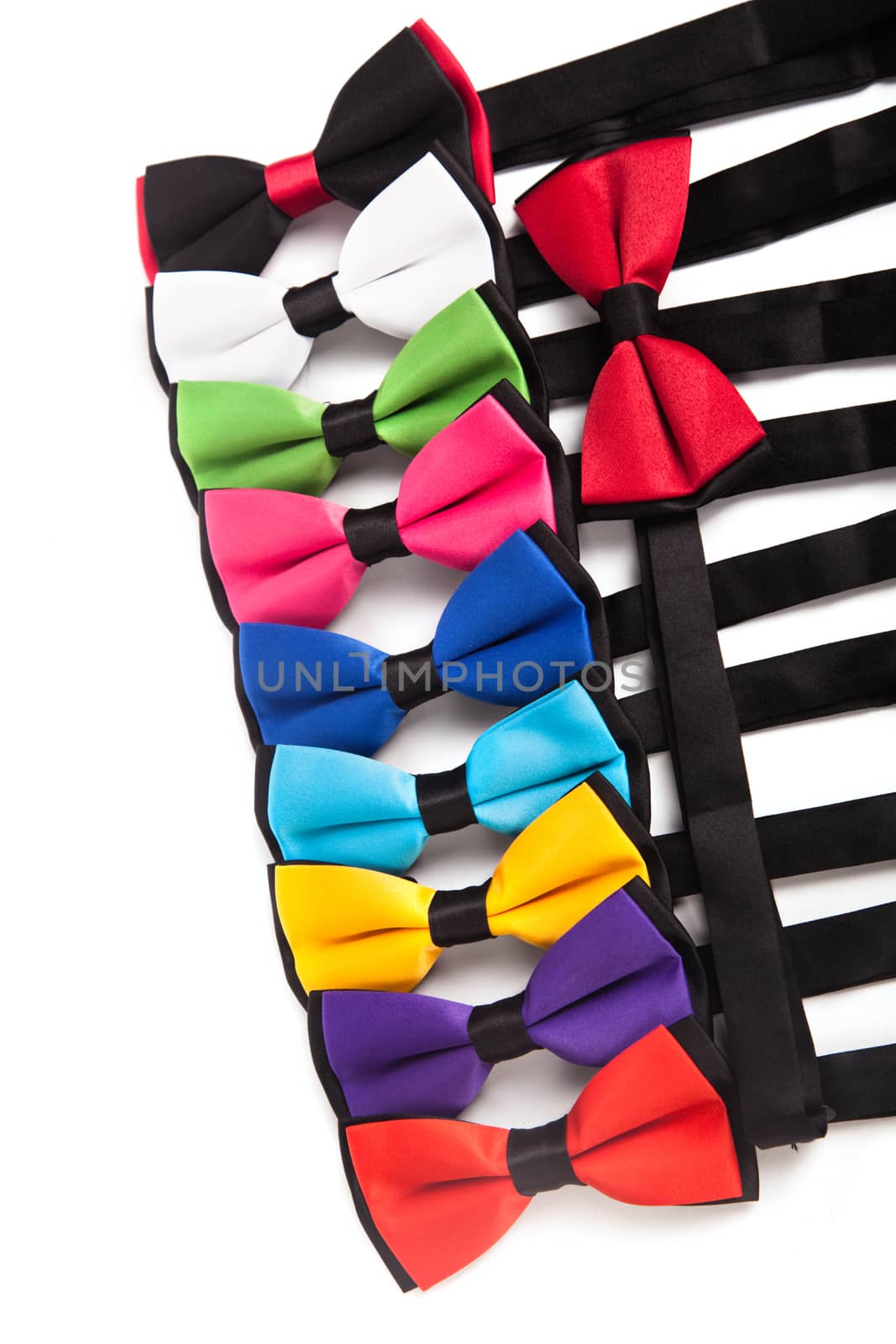 Collection set of colorful ribbon bows isolation on a white background.