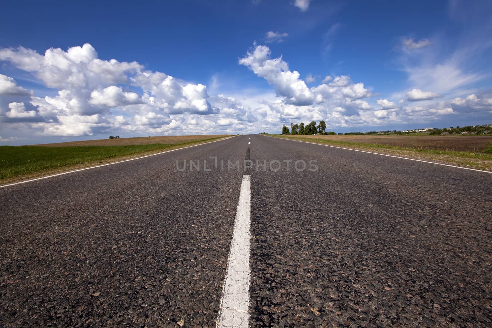   the asphalted road to summertime of year. along the road trees grow
