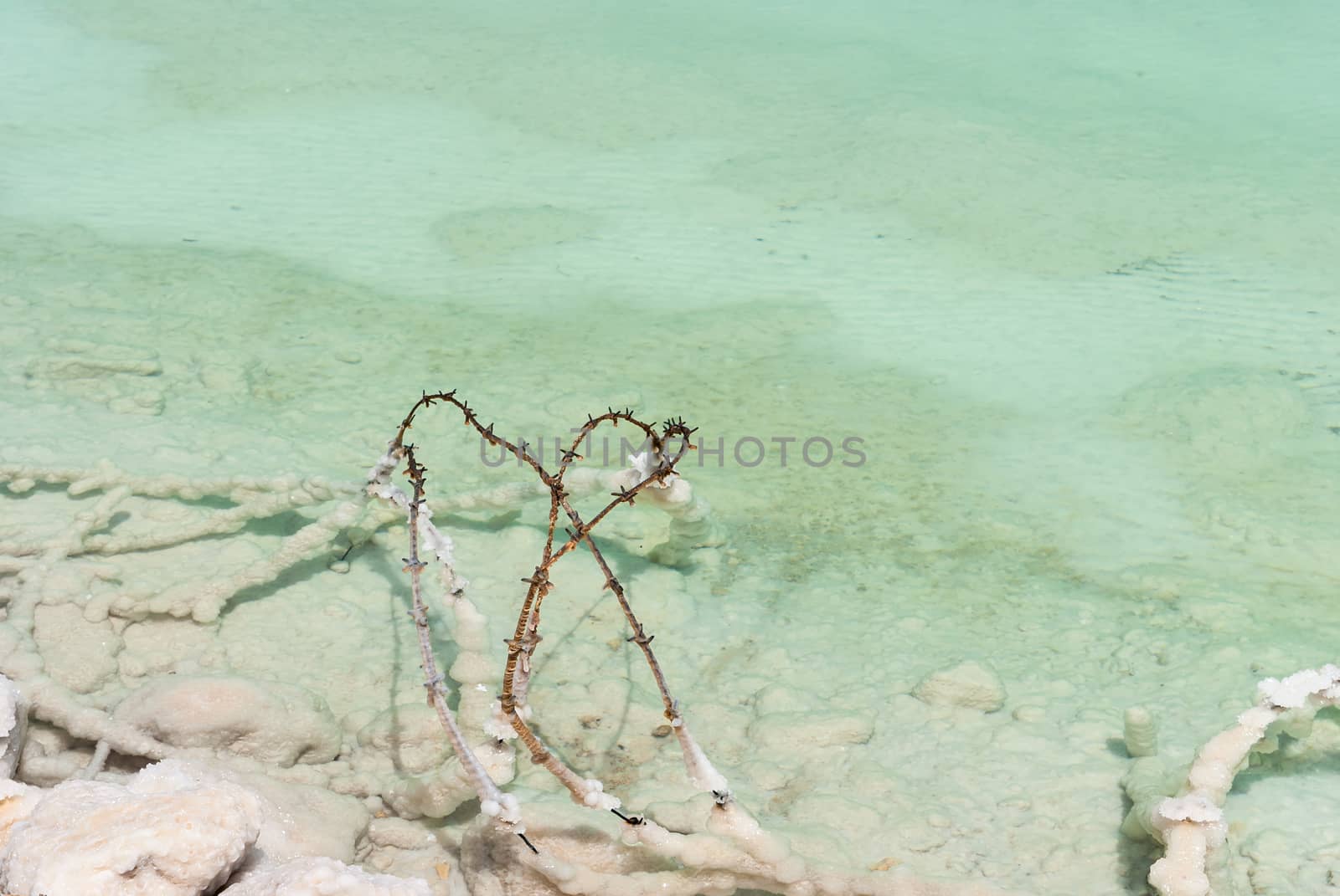 Barbed wire lying covered with salt in the shallow waters of the Dead Sea, Israel.