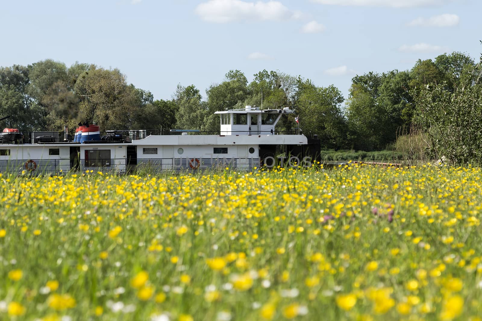 A ship in the river of Seine, France in the background of a meadow filled with flowers