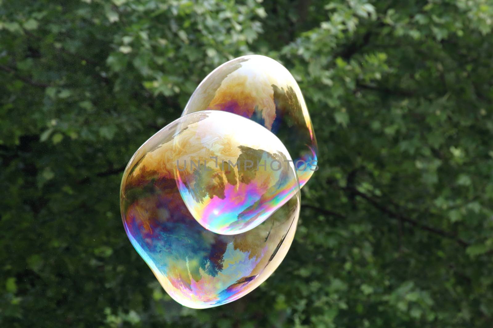 Giant soap bubbles created with ropes and sticks in a park