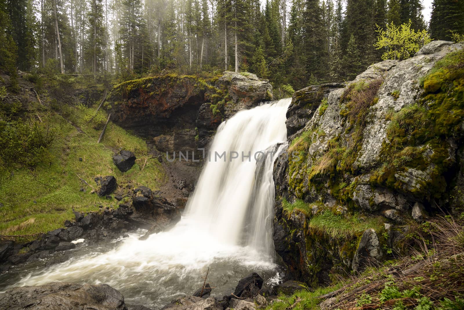 Beautiful Moose Falls in evening light at Yellowstone National Park - Wyoming.