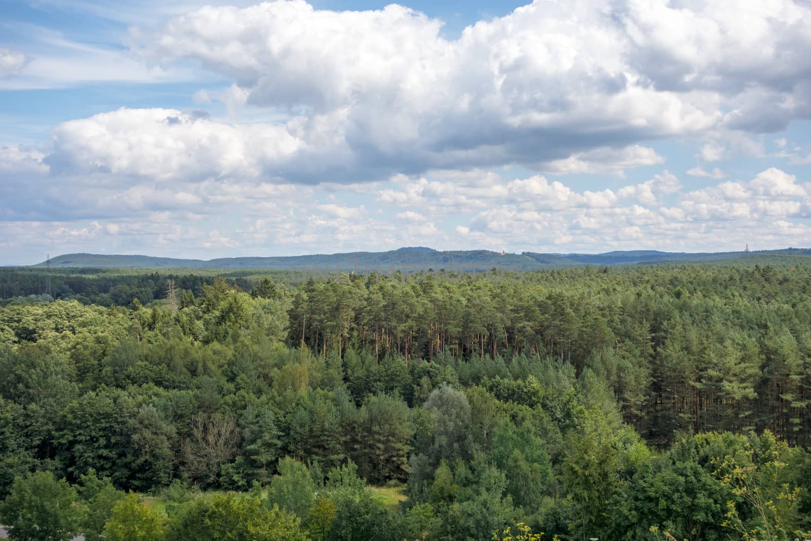 Forest at Brombachsee near power plant