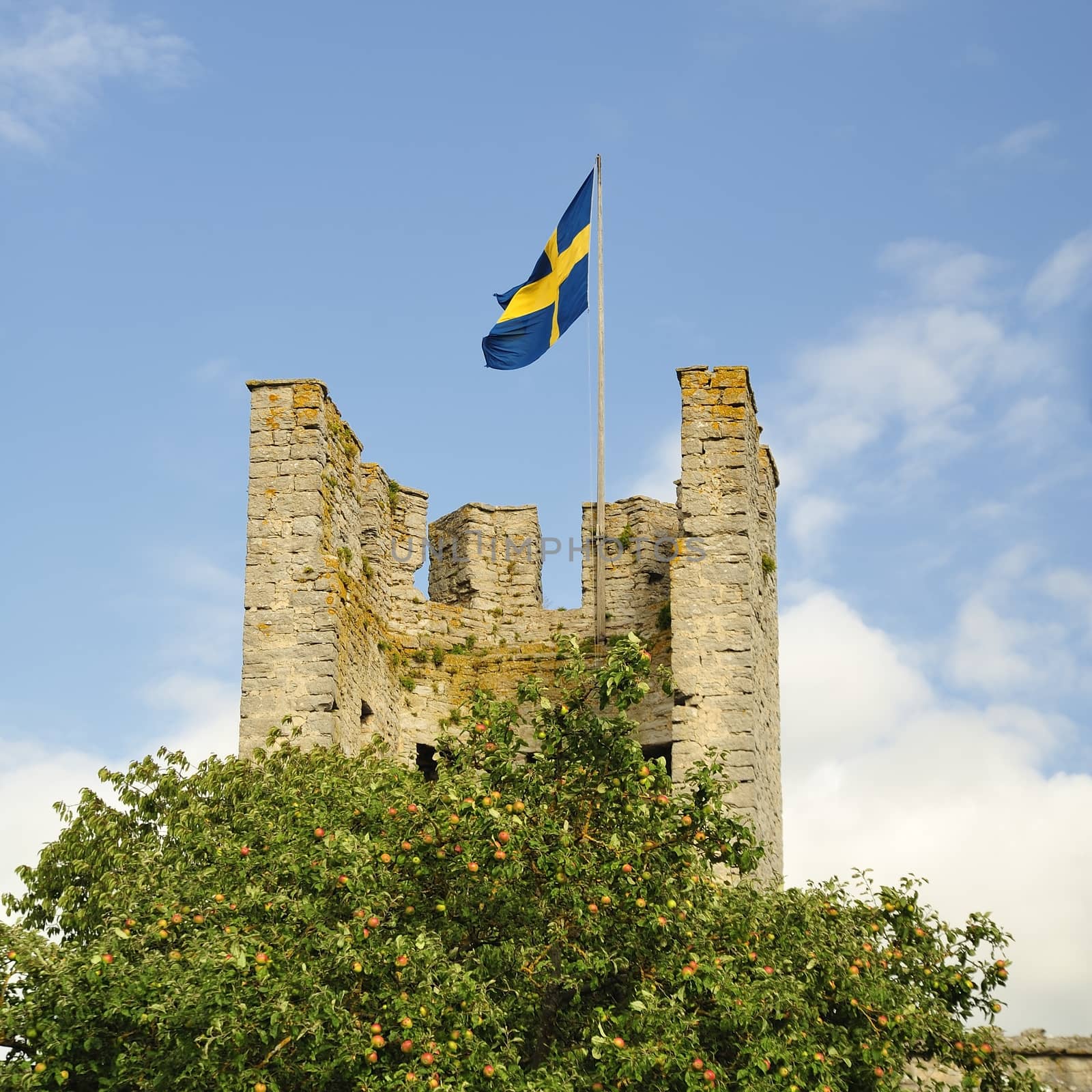 Visby walls in Gotland, Sweden.