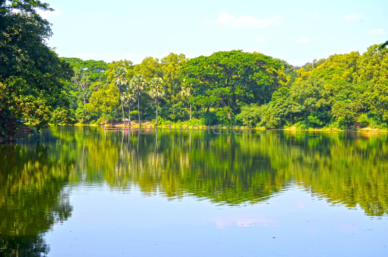 Clean lake in green spring summer forest. Blue sunny sky.