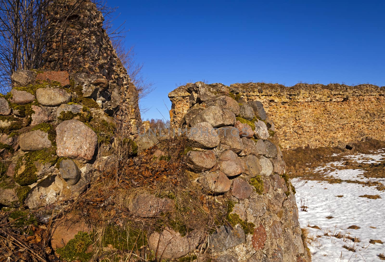   ruins of the fortress located in the village of Krevo, Belarus