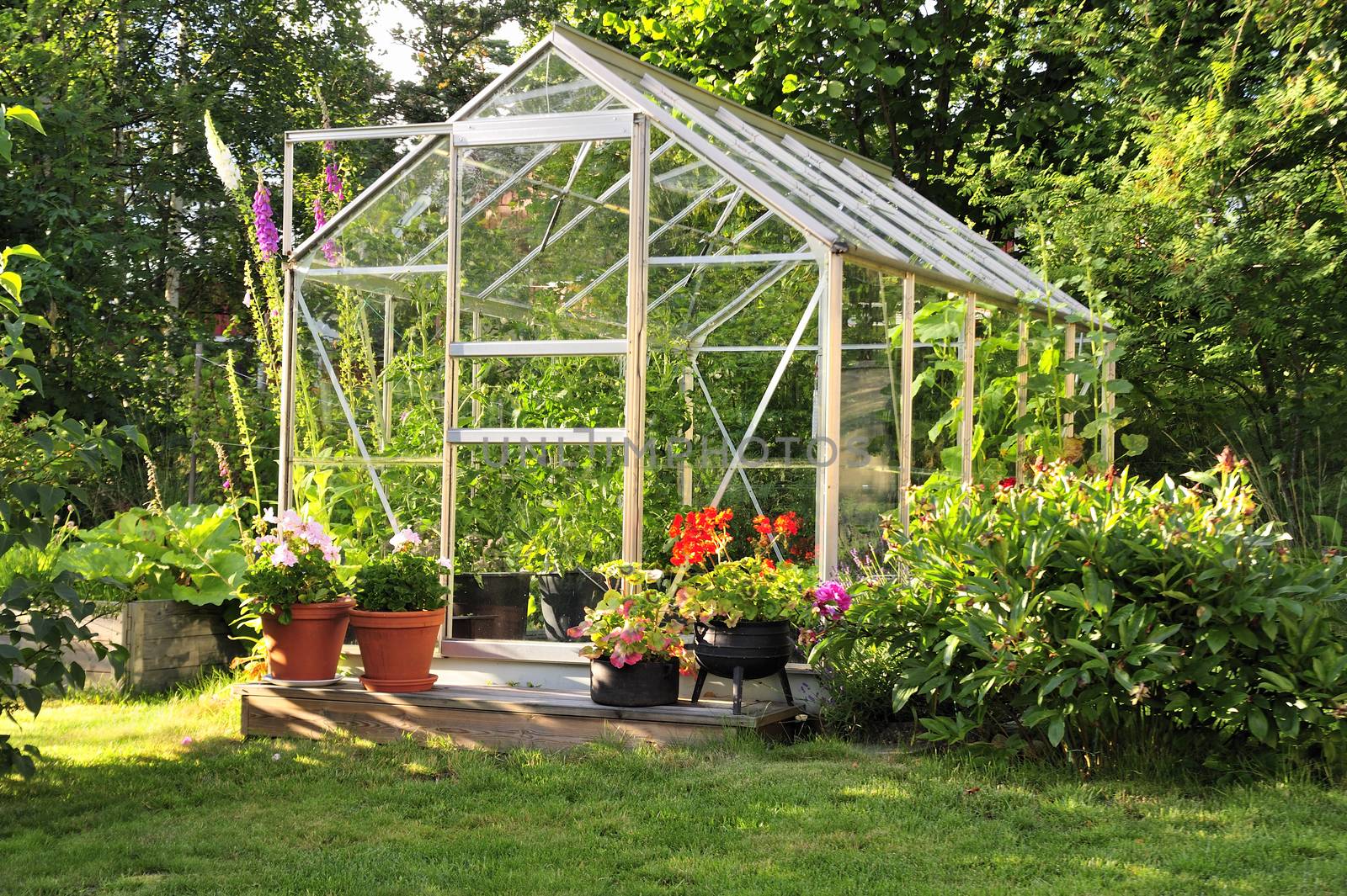 Small vintage greenhouse