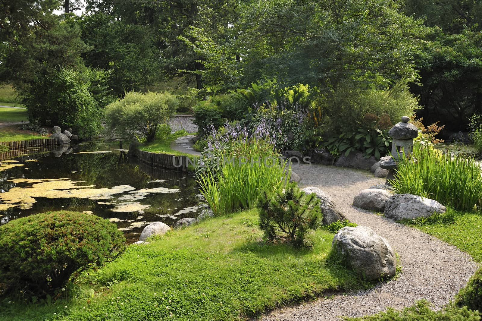 Japanese water garden in Bergianska - Sweden.