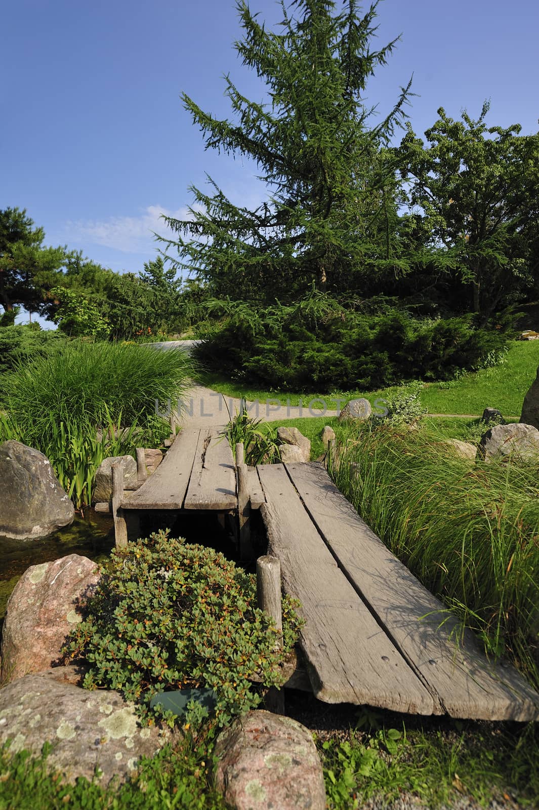 Japanese water garden by a40757