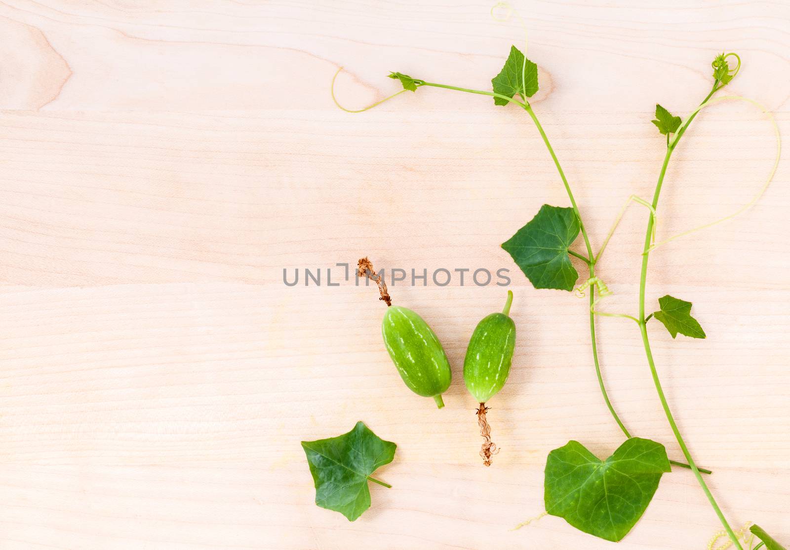 The ivy gourd, also known as baby watermelon, little gourd, gent by kerdkanno