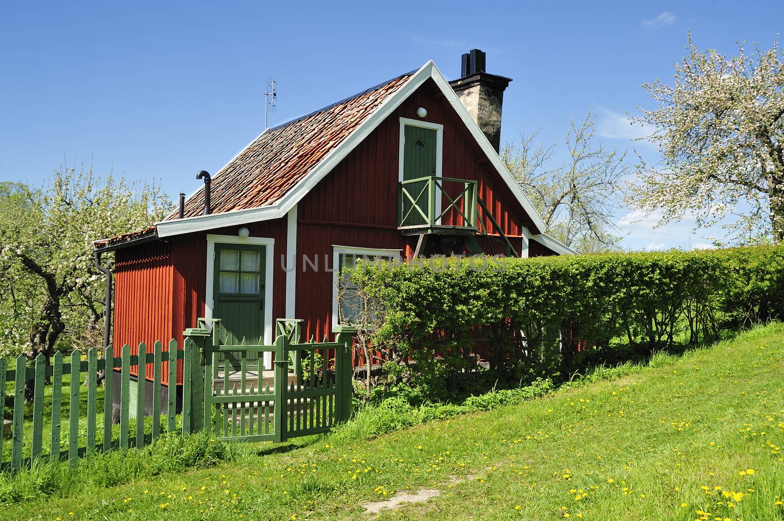 Swedish summer cottage on the countryside.