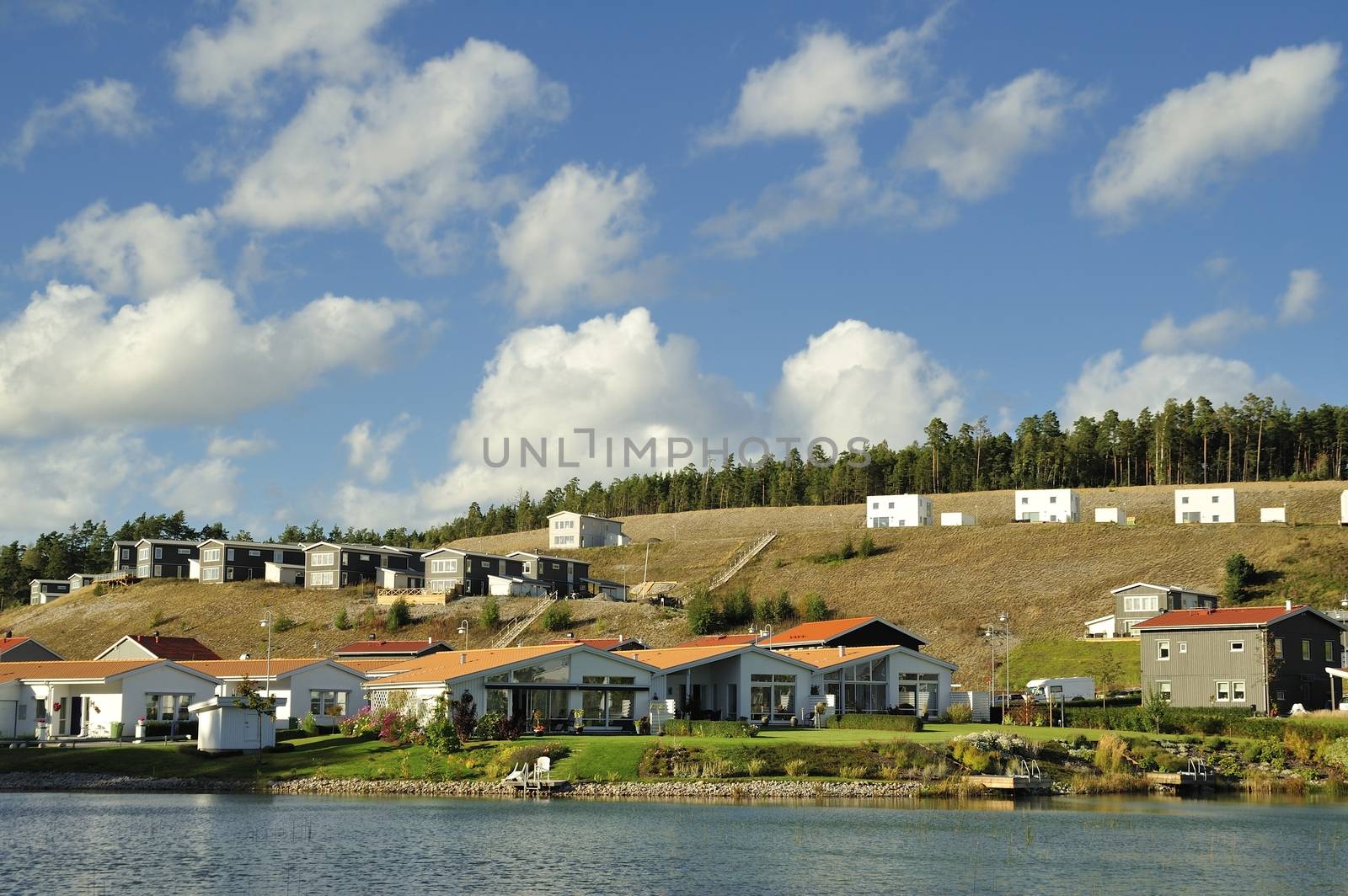 Homes with Pond. Scene of prime real estate community. Living in serenity.